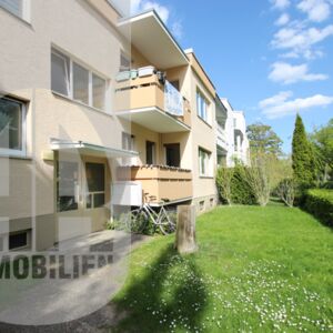 Bezugsfrei 4 vier Zimmer Wohnung Berlin Zehlendorf Kauf Verkauf Balkon Haus
