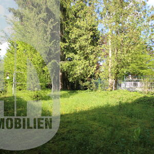 Bezugsfrei 4 vier Zimmer Wohnung Berlin Zehlendorf Kauf Verkauf Balkon Haus