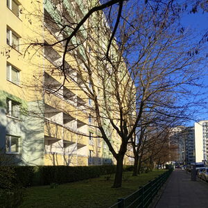 vermietet 2 zwei Zimmer Wohnung Berlin Mitte Kauf Verkauf Balkon Immobilienmakler Berlin Lankwitz
